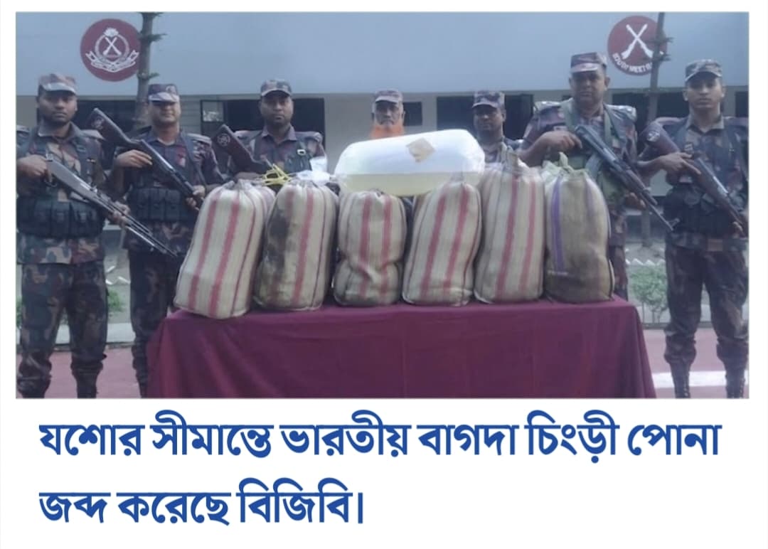 যশোর সীমান্তে ভারতীয় বাগদা চিংড়ী পোনা ও পণ্যসামগ্রী জব্দ করেছে বিজিবি