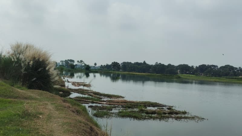 ৩৫ বিঘার মাছের ঘের নিয়ে শার্শায় টানটান বিরোধ