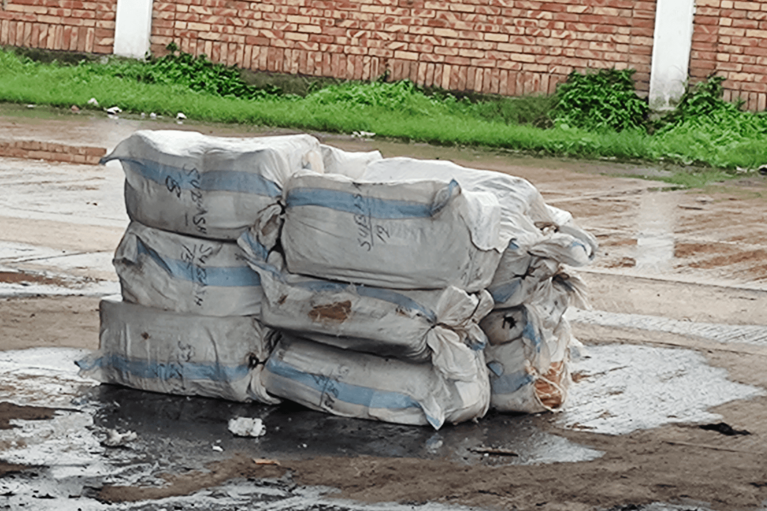বেনাপোল বন্দরে মিথ্যা ঘোষণায় আনা ১২ কার্টন ইলিশ জব্দ, নিলামের প্রস্তুতি