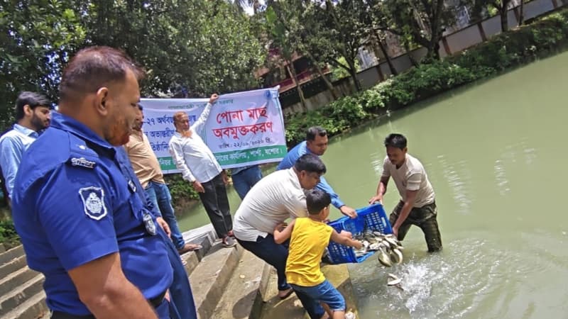 শার্শা থানা পুকুরে পোনা মাছ অবমুক্ত