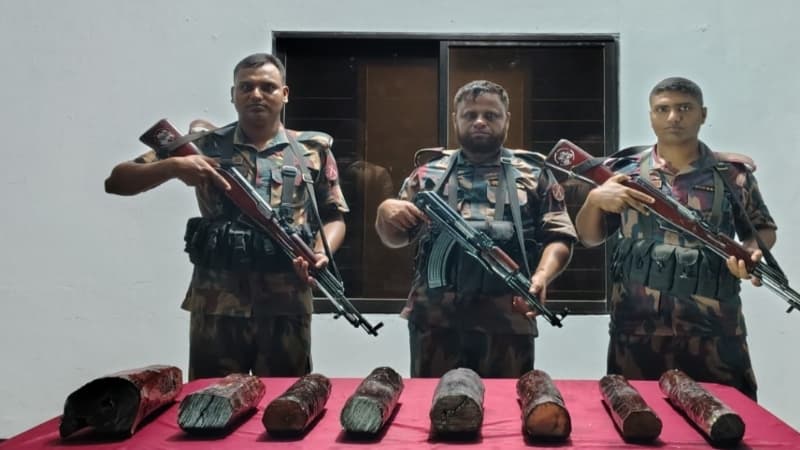 যশোর সীমান্তে বিজিবির অভিযানে ২৫ কেজি লাল চন্দন কাঠ আটক