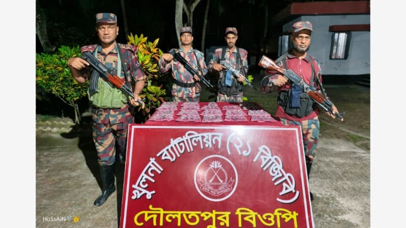 বেনাপোল সীমান্তে বিজিবির অভিযানে ভারতীয় পন্ডস ফেসওয়াশ জব্দ