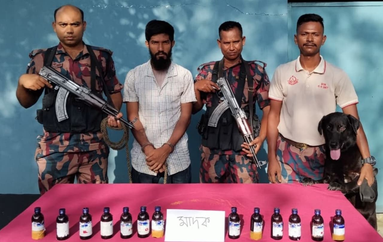 সীমান্তে বিজিবির অভিযানে আটক