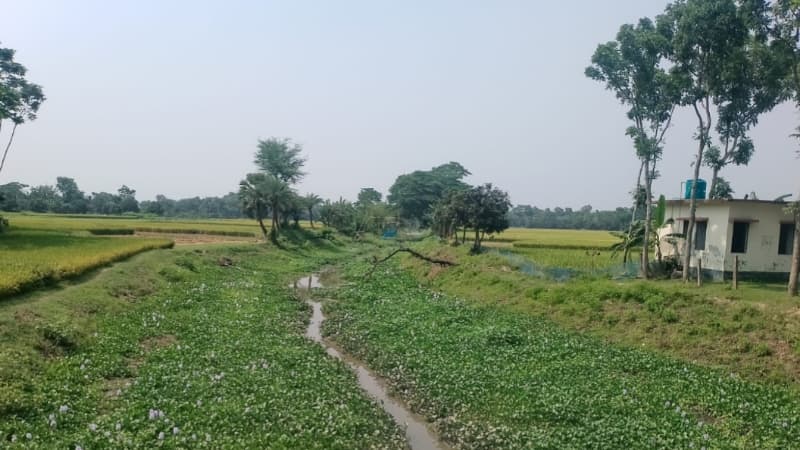 শার্শার-কলারোয়ার ৫২ বিলের জলাবদ্ধতা নিরসনের দাবি জোরালো