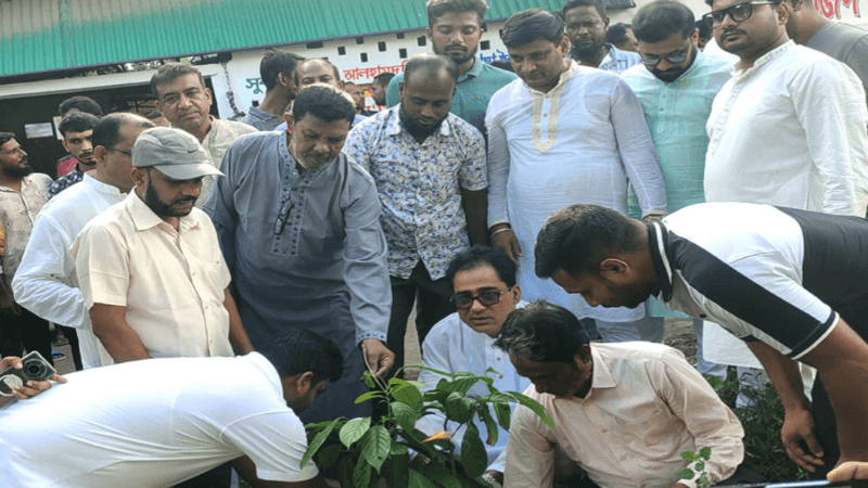 বিএনপির উদ্যোগে সবুজ বেনাপোলের প্রত্যয়ে পঞ্চম দিনের বৃক্ষরোপণ